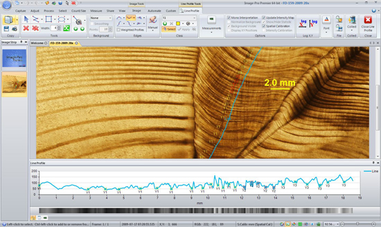 Analyze Ringed Structures