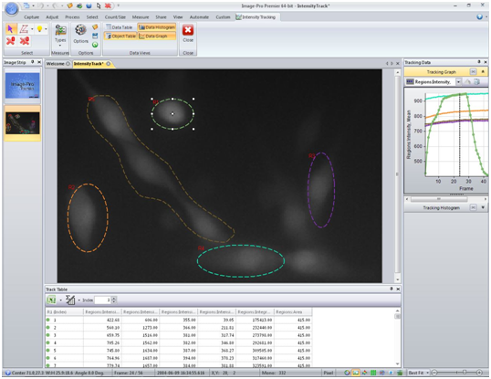 Measure Intensity Over Time