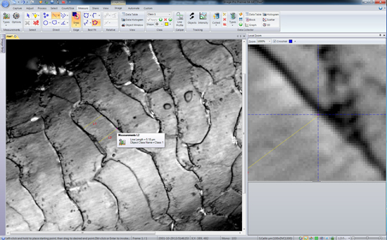 Magnetic Snap Measurements