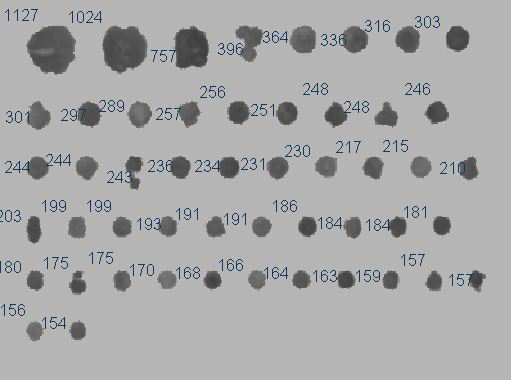 Sort Counted Objects