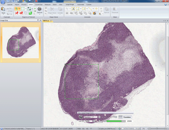 Use Very Large Image Tool to Extract Regions of Interest to Analyze