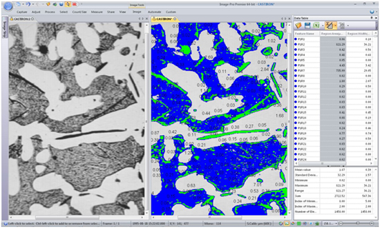 Define and measure areas automatically with 'Smart Segmentation'