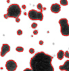 미립자 분석 (Particle Analysis)